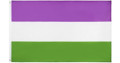 Queer flag