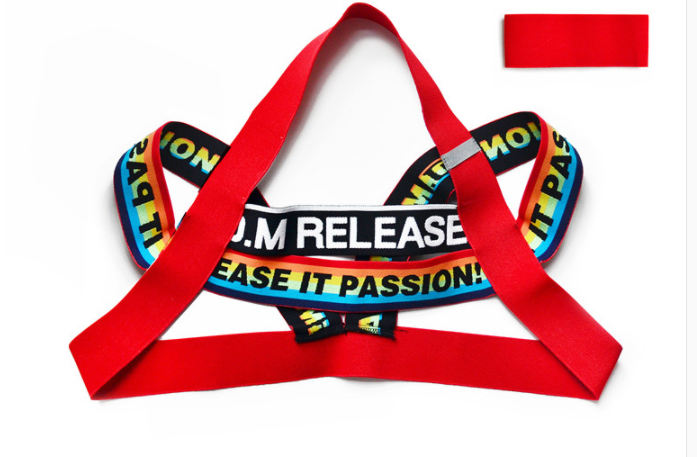 Men’s pride chest strap harness