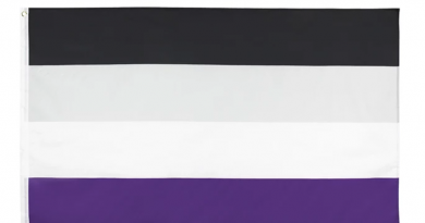 Asexual Flag